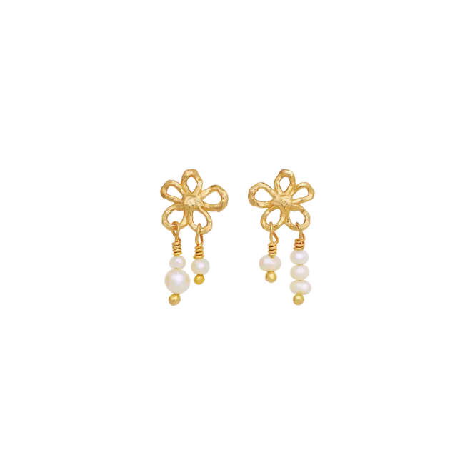 Hovedbilde Maanesten Nicola Øredobber ...