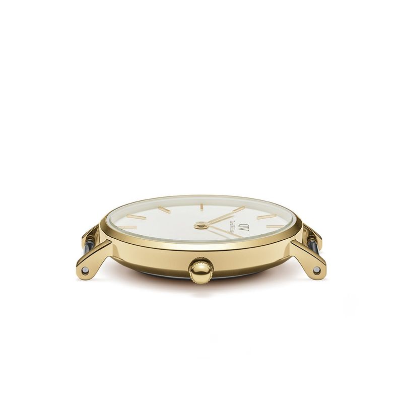 DW Petite Evergold 32mm