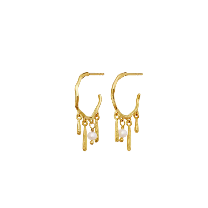 Hovedbilde Maanesten Fricka Øredobber ...