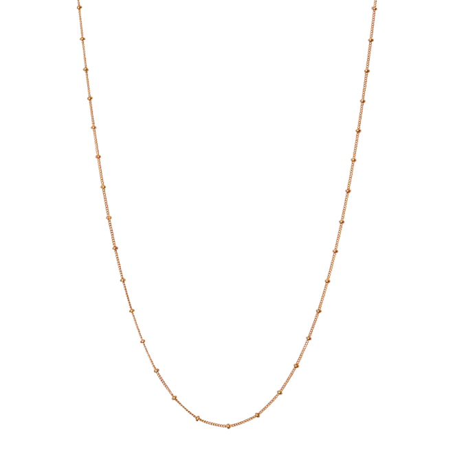 Hovedbilde Maanesten Nala anheng