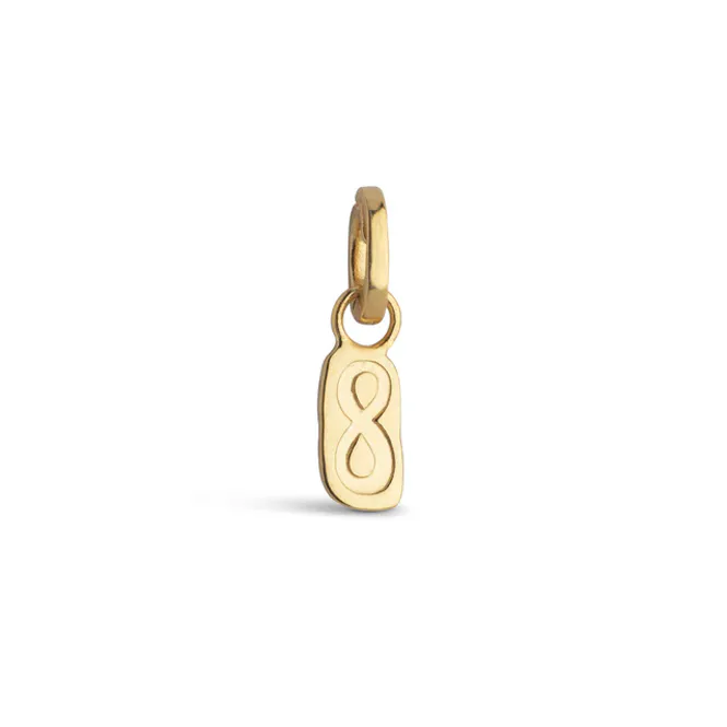 Hovedbilde Enamel Infinity charms